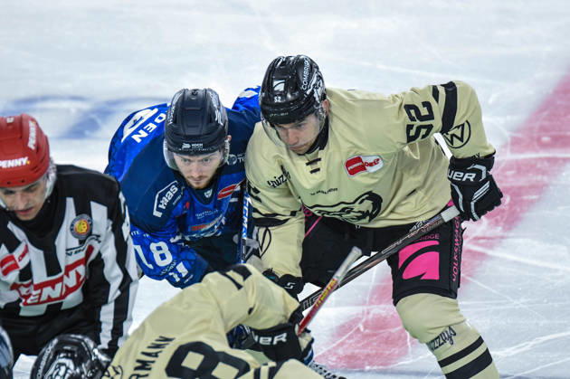 Straubing Tigers vs. Grizzlys Wolfsburg, Ice Hockey, German Ice Hockey League, Penny DEL, Matchday 10, 2026–2027 Season, October 18, 2026: Tyler Madden of the Straubing Tigers takes the faceoff against Sven Ziegler of the Grizzlys Wolfsburg, Men’s Ice Hockey, German Ice Hockey League, Penny DEL, Matchday 10, 2026–2027 season on October 18, 2026, at the Eisstadion am Pulverturm; Straubing Tigers (blue) vs. Grizzlys Wolfsburg (beige)