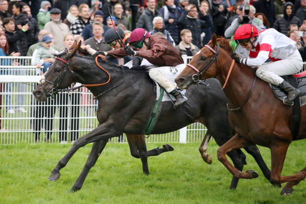 Equestrian sports, horse racing, race day in Iffezheim
