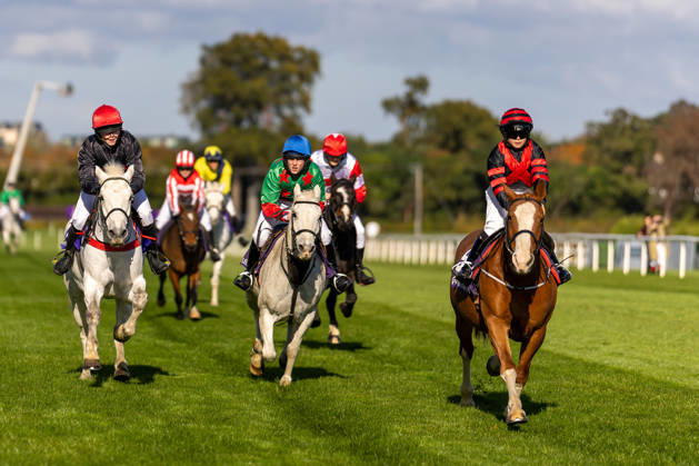 Equestrian sports, horse racing, race day in Dublin
