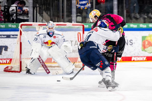 October 18, 2026, 2026–2027 Ice Hockey Season, Penny DEL, Nuremberg Ice Tigers, Icetigers, Red Bull Munich, ThHa xthxhax, Mathias Niederberger 35, Red Bull Munich, RBM, Trevor Carrick 44, Red Bull Munich, RBM Jackson Cates 26, Nuremberg Ice Tigers, NIT