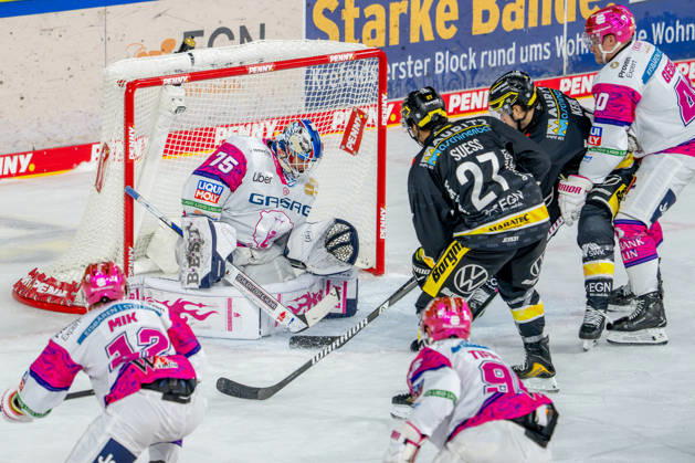 October 18, 2026, xkkux, Ice Hockey, DEL, Krefeld Pinguine vs. Eisbären Berlin, 2026–27 Season, YAYLA Arena, Krefeld; C. J. Suess (Krefeld Pinguine, No. 27) alongside Erik Buschmann (Krefeld Pinguine, No. 15) in a one-on-one battle against goalie Jonas Neffin (Eisbären Berlin, No. 75); North Rhine-Westphalia, Germany