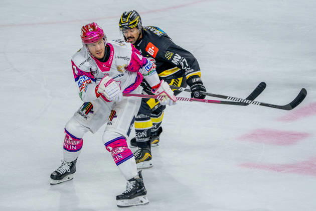 October 18, 2026, xkkux, Ice Hockey, DEL, Krefeld Pinguine vs. Eisbären Berlin, 2026–27 Season, YAYLA Arena, Krefeld: Adam Smith of Eisbären Berlin 04 in a one-on-one battle against C. J. Suess of Krefeld Pinguine 27, North Rhine-Westphalia, Germany