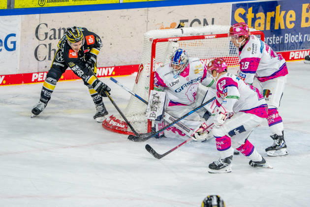 October 18, 2026, xkkux, Ice Hockey, DEL, Krefeld Pinguine vs. Eisbären Berlin, 2026–27 Season, YAYLA Arena, Krefeld: Mathew Santos (Krefeld Pinguine, 95) in a one-on-one battle against goalie Jonas Neffin (Eisbären Berlin, 75), Rihards Griva (Eisbären Berlin, 23), and Jonas Müller (Eisbären Berlin, 18), North Rhine-Westphalia, Germany
