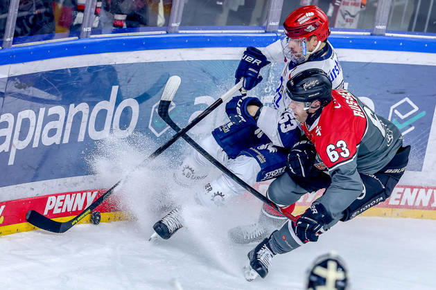 October 20, 2026, Ice Hockey, DEL, Kölner Haie vs. Schwenninger Wild Wings, Matchday 49, 2026–27 Season, Lanxess Arena, Cologne: Alex Trivellato (SWW 53) battles Patrick Russell (Cologne Sharks 63) for the puck along the boards in North Rhine-Westphalia, Germany