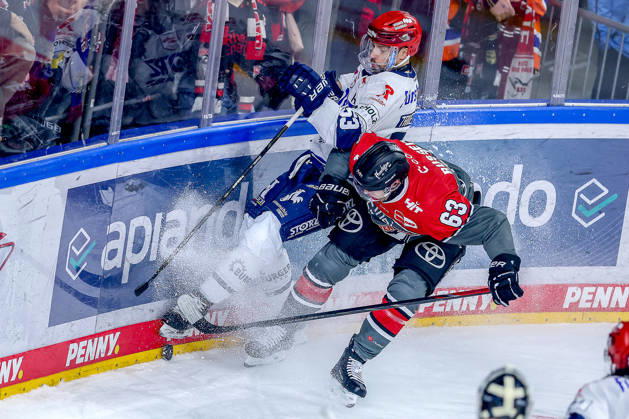 October 20, 2026, Ice Hockey, DEL, Kölner Haie vs. Schwenninger Wild Wings, Matchday 49, 2026–27 Season, Lanxess Arena, Cologne: Alex Trivellato (SWW 53) battles Patrick Russell (Cologne Sharks 63) for the puck along the boards in North Rhine-Westphalia, Germany