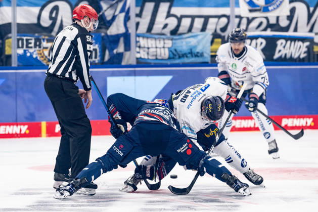 Linesman Yannik Koziol officiates a faceoff between Lucas Thaler of EHC Red Bull Munich, 48, and Tyler Boland of the Iserlohn Roosters, 10 (GER), EHC Red Bull Munich vs. Iserlohn Roosters, DEL, 2026–2027 season, Matchday 11, October 23, 2026. Photo: HMB Media, Franz Feiner Copyright: HMBxMedia FranzxFeiner