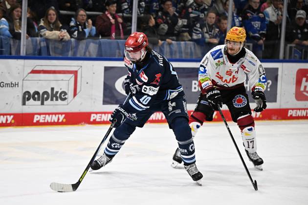Ice hockey, DEL, Schwenninger Wild Wings v Fischtown Pinguins