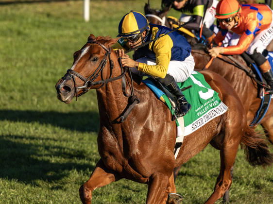 Pferdesport, Galopp, Renntag in Lexington