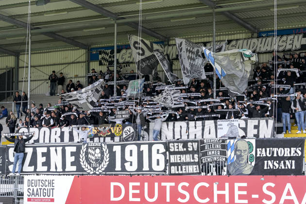 The SV Sandhausen Ultras wave their flags in the fan section; home fans, fan block, looking forward to the game; fans, audience, spectators, mood, atmosphere, stadium, return of the active fan scene to the fan block, Scene 1916, following the boycott of home games since the start of the season, active fans, the home game boycott took place due to disagreements with club management, October 24, 2026, Sandhausen, Germany, soccer, Regionalliga Südwest, SV Sandhausen vs. VfR Aalen xozx