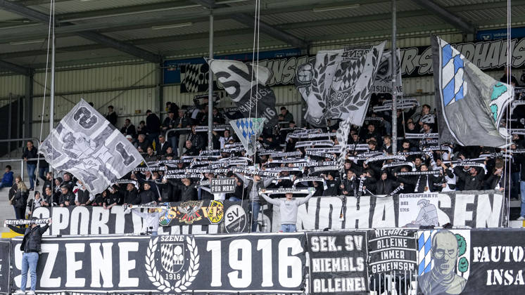 The SV Sandhausen Ultras wave their flags in the fan section; home fans, fan block, looking forward to the game; fans, audience, spectators, mood, atmosphere, stadium, return of the active fan scene to the fan block, Scene 1916, following the boycott of home games since the start of the season, active fans, the home game boycott took place due to disagreements with club management, October 24, 2026, Sandhausen, Germany, soccer, Regionalliga Südwest, SV Sandhausen vs. VfR Aalen xozx
