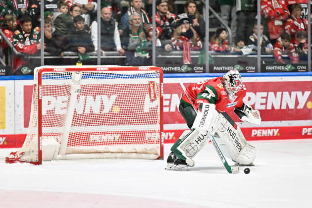 Penny DEL Augsburger Panther Straubing Tigers 25 10 2026 AUGSBURG, GERMANY October 25: Peyton JONES of the Augsburger Panther, No. 41, with the puck during the Penny DEL game between the Augsburger Panther and the Straubing Tigers on Matchday 12 at Curt Frenzel Stadium Copyright: xBEAUTIFULxSPORTS Goldbergx
