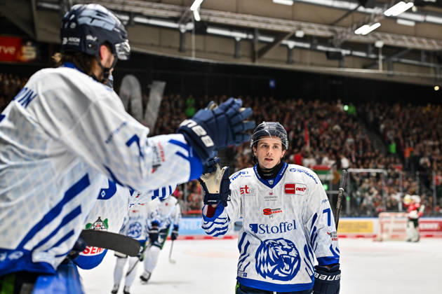 Penny DEL Augsburger Panther Straubing Tigers 25 10 2026 AUGSBURG, GERMANY OCTOBER 25 The visiting fans celebrate after Nicholas HALLORAN scores the 1–1 goal. Straubing Tigers 71 Goal Scorer Joy Happy during the Penny DEL match between the Augsburger Panther and the Straubing Tigers on Matchday 12 at the Curt Frenzel Stadium Copyright: xBEAUTIFULxSPORTS Goldbergx