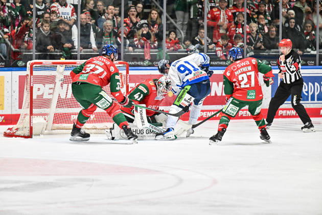 Penny DEL: Augsburger Panther vs. Straubing Tigers, October 25, 2026, AUGSBURG, GERMANY, OCTOBER 25: Peyton JONES of the Augsburger Panther (No. 41) and Hudson ELYNUIK of the Straubing Tigers (No. 91) face off during the Penny DEL match between the Augsburger Panther and the Straubing Tigers on Matchday 12 at Curt Frenzel Stadium Copyright: xBEAUTIFULxSPORTS Goldbergx