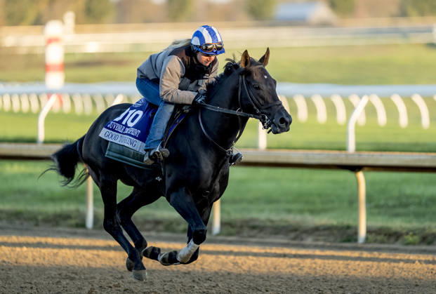 Equestrian sports, horse racing, Breeders’ Cup World Championships in Lexington, training