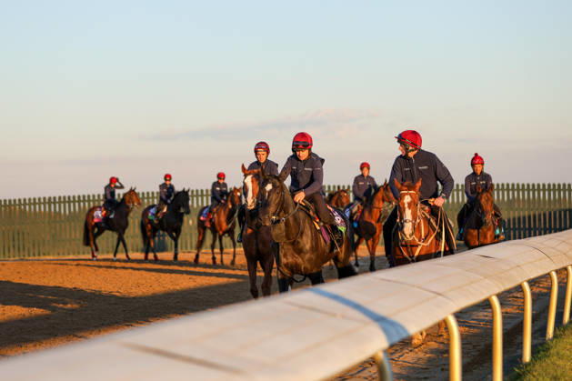 Equestrian sports, horse racing, Breeders’ Cup World Championships in Lexington, training