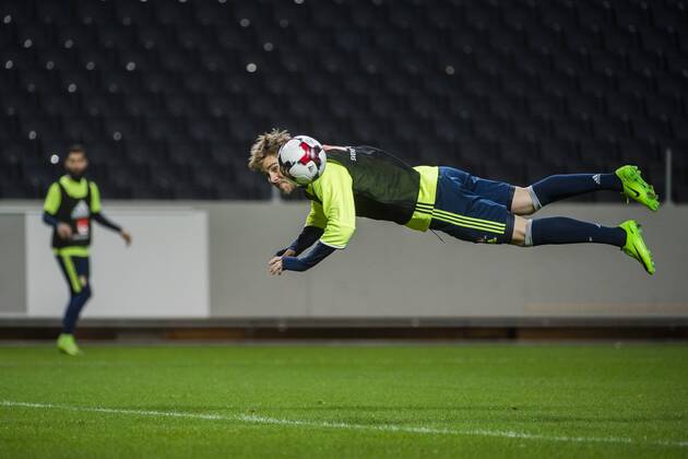 Football, National Team Sweden, Training