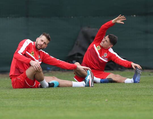 Football, Austrian National Team, Training