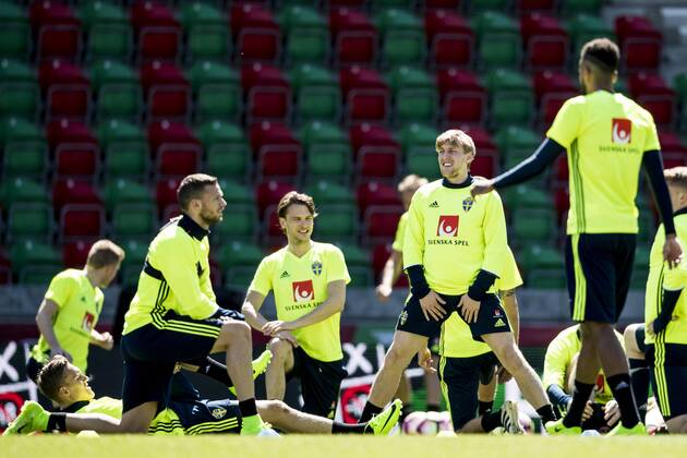 Football, National Team Sweden, Training