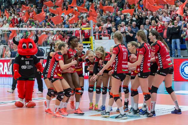 Volleyball, Women, Dresdner SC - Allianz MTV Stuttgart