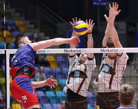 Volleyball, 1. BL, United Volleys Rhein-Main - TSV Herrsching