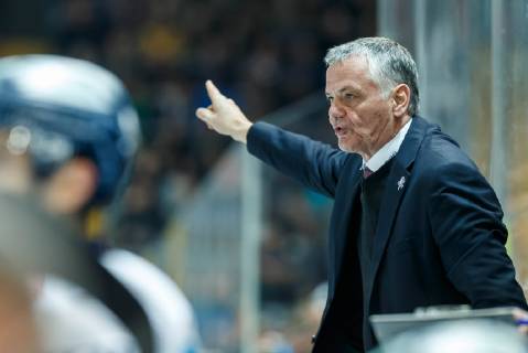 DEL, Eisbären Berlin part ways with head coach Jodoin