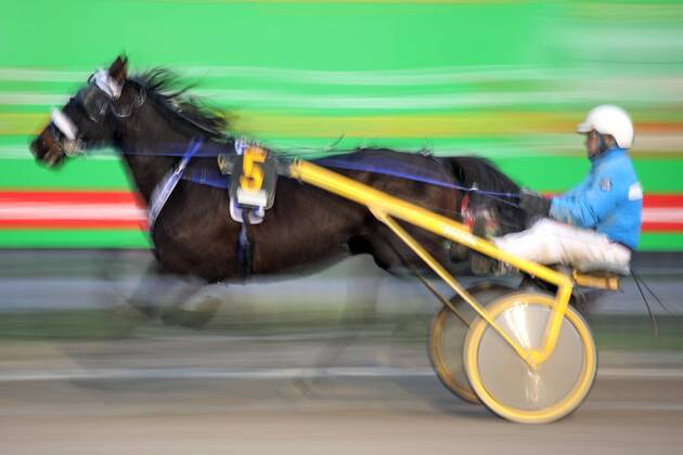 Equestrian sports, ghost races at the Berlin Mariendorf and Karlshorst racecourses from 1 May
