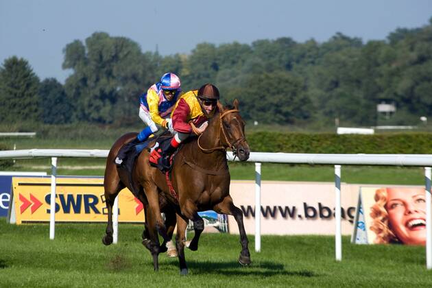 Equestrian sport, Baden Baden, Jockey Andrasch Starke and Prince Flori win the Prize of the Sparkasse Financial Group