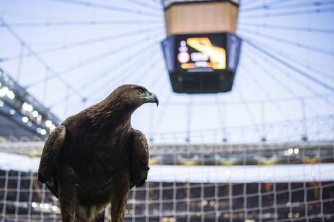 Football, EL, Eintracht Frankfurt - Benfica Lisbon, before the game starts