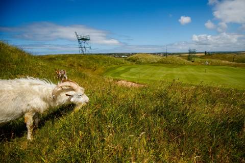 Golf, PGA Tour, Dubai Duty Free Irish Open, Preview
