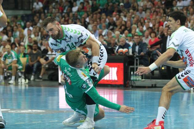 Handball, SC DHfK Leipzig - FA Göppingen