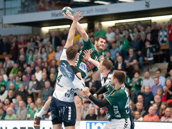 Handball, HBL, Fresh on Göppingen - SG Flensburg-Handewitt