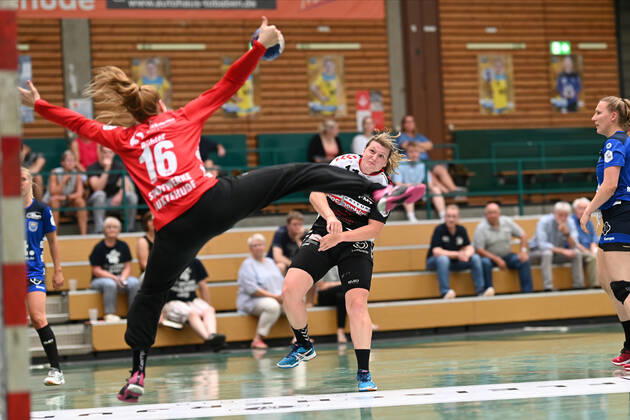Handball, ladies, test game, Buxtehuder SV - HL Buchholz 08-Rosengarten