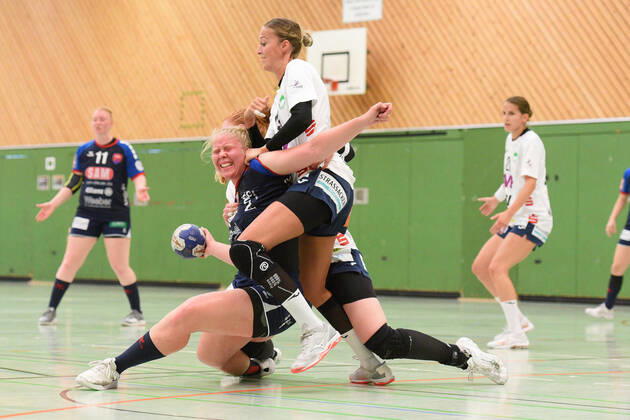 Handball, Women, SG H2Ku Herrenberg - Fresh On Goeppingen