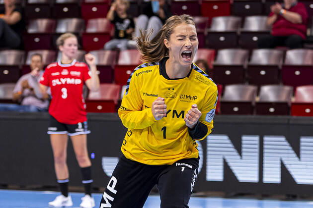 Handball, ladies, SG BBM Bietigheim - Bad Wildungen Vipers