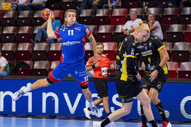 Handball, BGV-Cup, TVB Stuttgart - HBW Balingen-Weilstetten