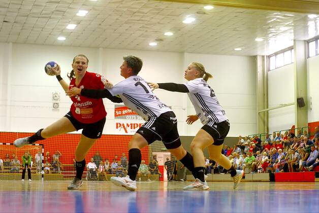 Handball, 2nd BL, BSV Saxony Zwickau - HSG Freiburg