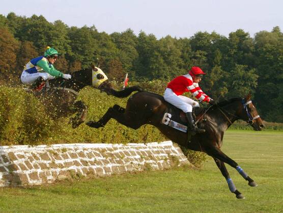 Equestrian Sport, Bentley Race Day in Berlin-Hoppegarten