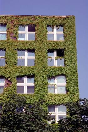 Begrünte Hausfassade in Berlin