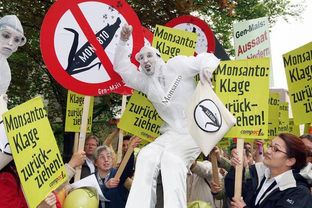 Demonstranten protestieren gegen den Anbau von Genmais durch den Gentechnik-Konzern Monsanto in Braunschweig