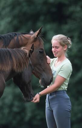 Achal-Tekkiner (Equus przewalskii f. caballus), Maedchen streichelt Pferd Akhal-Teke horse (Equus przewalskii f. caballus), girl strocking horses BLWS006957