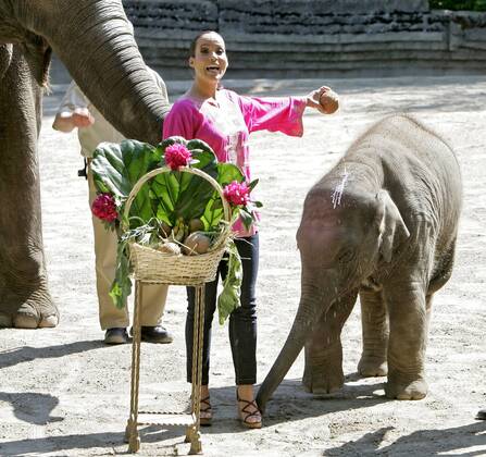 Nandini Mitra Fernseh-Moderatorin Nandini Mitra tauft mit Kokosmilch das Elefanten-Baby Shahrukh im Hamburger Tierpark Hagenbeck Foto:xU.xGlockmannx xFuturexImage