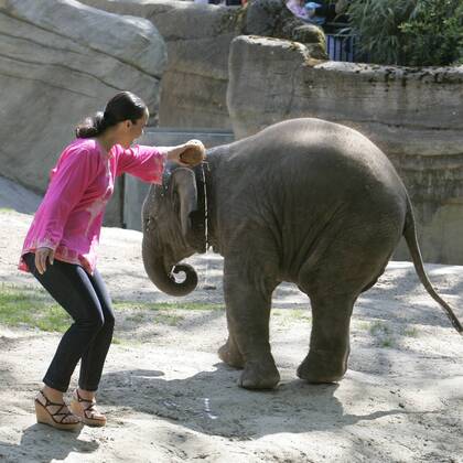 Nandini Mitra Fernseh-Moderatorin Nandini Mitra tauft mit Kokosmilch das Elefanten-Baby Shahrukh im Hamburger Tierpark Hagenbeck Foto:xU.xGlockmannx xFuturexImage