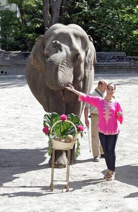 Nandini Mitra Fernseh-Moderatorin Nandini Mitra tauft mit Kokosmilch das Elefanten-Baby Shahrukh im Hamburger Tierpark Hagenbeck Foto:xU.xGlockmannx xFuturexImage