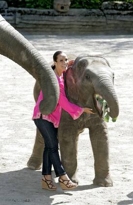 Nandini Mitra Fernseh-Moderatorin Nandini Mitra tauft mit Kokosmilch das Elefanten-Baby Shahrukh im Hamburger Tierpark Hagenbeck Foto:xU.xGlockmannx xFuturexImage