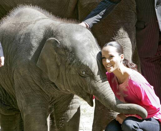 Nandini Mitra Fernseh-Moderatorin Nandini Mitra tauft mit Kokosmilch das Elefanten-Baby Shahrukh im Hamburger Tierpark Hagenbeck Foto:xU.xGlockmannx xFuturexImage