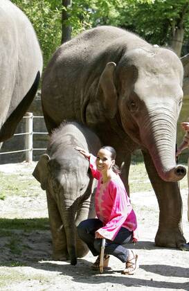 Nandini Mitra Fernseh-Moderatorin Nandini Mitra tauft mit Kokosmilch das Elefanten-Baby Shahrukh im Hamburger Tierpark Hagenbeck Foto:xU.xGlockmannx xFuturexImage