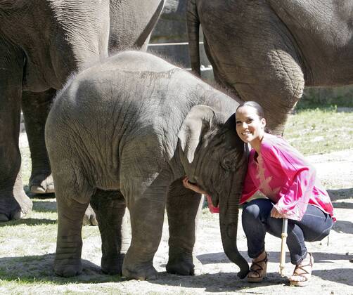 Nandini Mitra Fernseh-Moderatorin Nandini Mitra tauft mit Kokosmilch das Elefanten-Baby Shahrukh im Hamburger Tierpark Hagenbeck Foto:xU.xGlockmannx xFuturexImage
