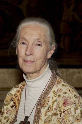 IMAGO ICONS: Jane Goodall Jane Goodall SPORT : PK - Rallye Aicha des gazelles 2013 - Paris - 12 02 2013 MarineAndrieux Panoramic 