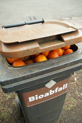 Bremer Biomülltonne mit Apfelsinen und Mandarinen oder Clementinen