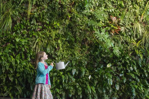 IMAGO Creative: Nächste Generation, Sozial- und klimabewusst Outdoors in the city in spring. An urban lifestyle. A young girl standing in front of a wall covered with ferns and climbing plants.
